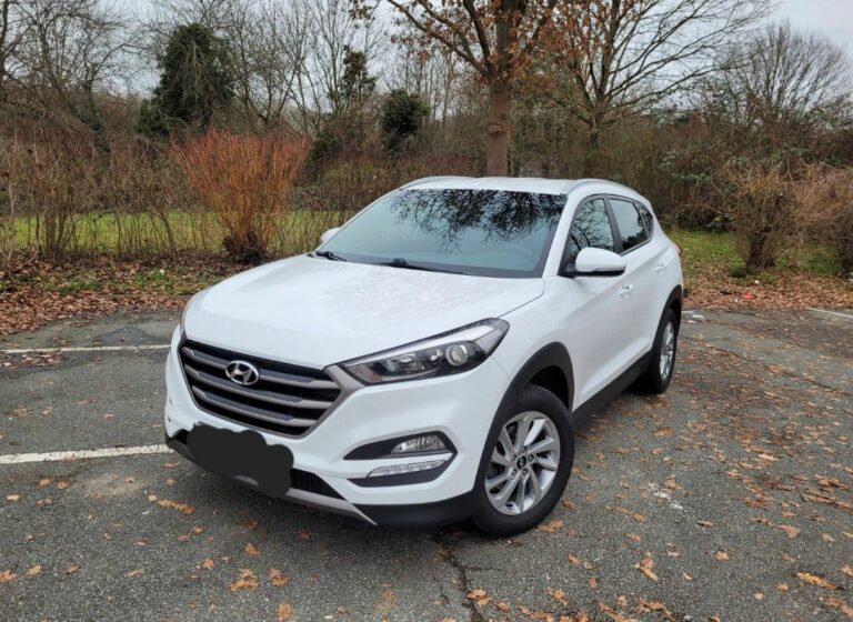 So sieht der ideale Nachschnitt von Wischerblättern aus