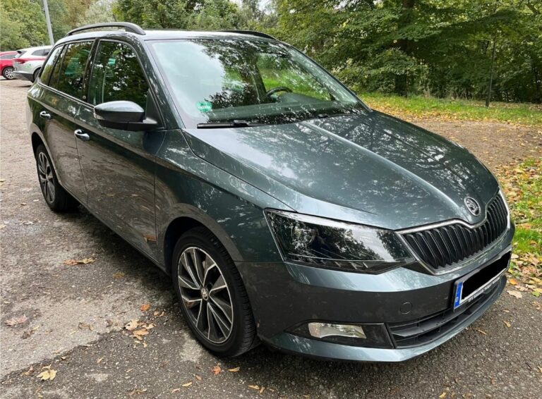 Schritt-für-Schritt-Anleitung für die Reparatur von Steinschlägen